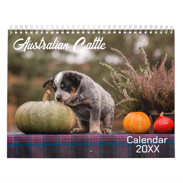 Australischer Rinder-Hunde-Kalender 2026 Kalender (Titelbild)