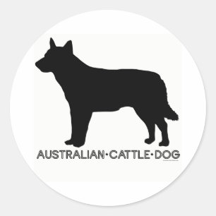 Australischer Rinder-Hundehalter Runder Aufkleber