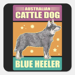 Australischer Rinderhund Blue Heeler   Hundebesitz Quadratischer Aufkleber