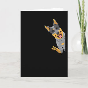 Australischer Rinderhund Heeler Karte