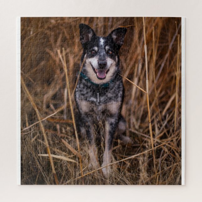 Australischer Rinderhund Heeler Puzzle (Vertikal)