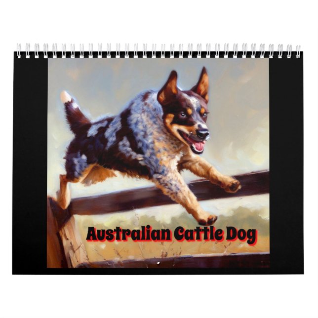 Australischer Rinderhund Kalender (Titelbild)