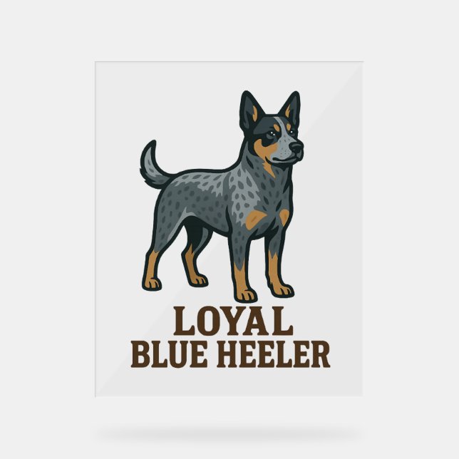 Australischer Rinderhund Loyal Blue Heeler Acrylschild (Vorderseite)