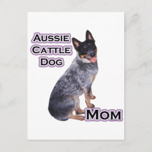 Australischer Rinderhund Mama 4 Postkarte