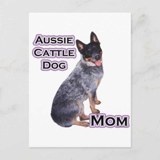 Australischer Rinderhund Mama 4 Postkarte (Vorderseite)