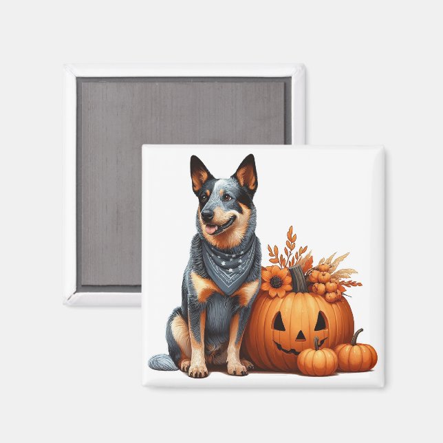 Australischer Rinderhund neben einem Jack-O-Lanter Magnet (Vorderseite/Rückseite)