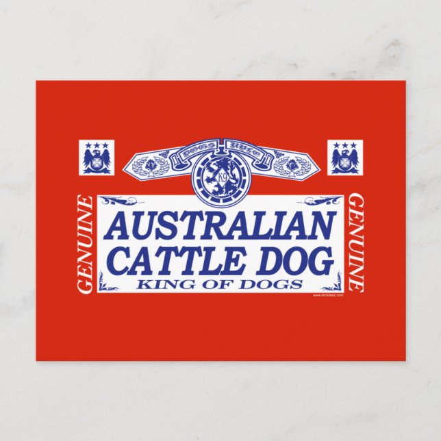 Australischer Rinderhund Postkarte (Vorderseite)