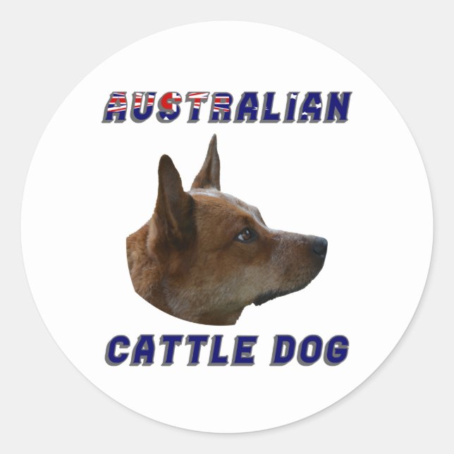 Australischer Rinderhund Runder Aufkleber (Vorderseite)