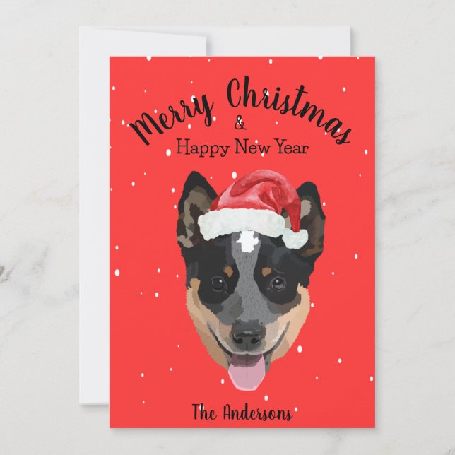 Australischer Rinderhund Weihnachten (Vorderseite)