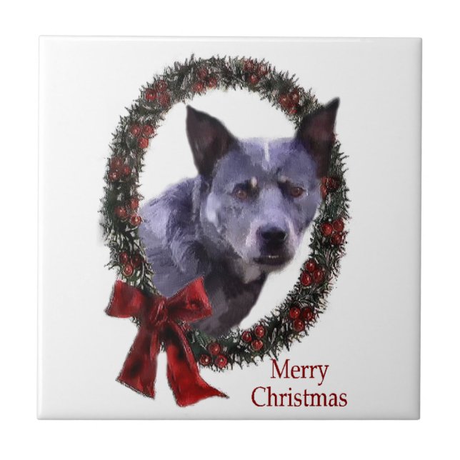 Australischer Rinderhund Weihnachten Fliese (Vorderseite)