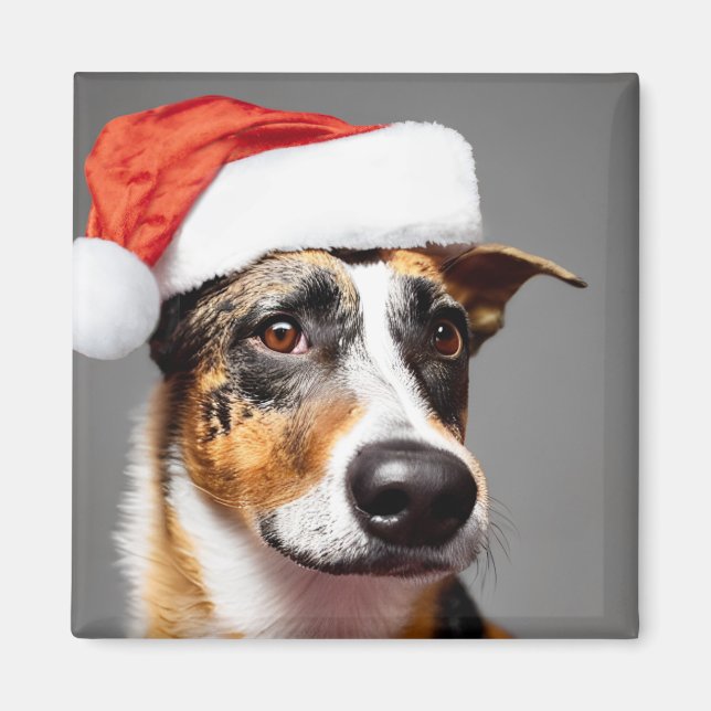 Australischer Rinderhund Weihnachten Magnet (Vorne)