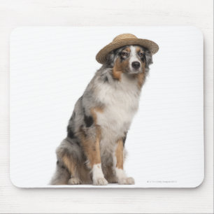 Australischer Schäfer (10 Monate alte) tragendes  Mousepad