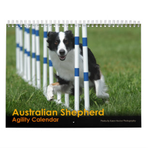 Australischer Schäfer-Agility-Kalender Kalender