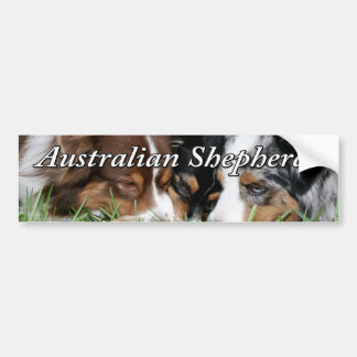 Australischer Schäfer-Autoaufkleber Autoaufkleber