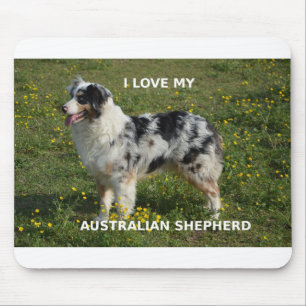 australischer Schäfer blauer merle Liebe w pic Mousepad