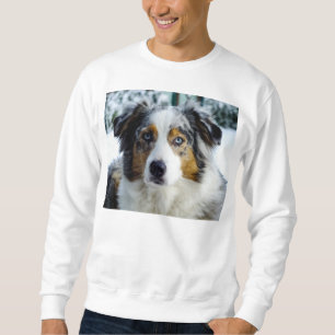 australischer Schäfer blaues merle 3 Sweatshirt
