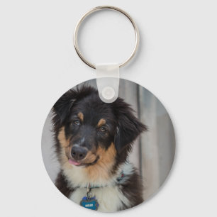 Australischer Schäfer-Hund Schlüsselanhänger