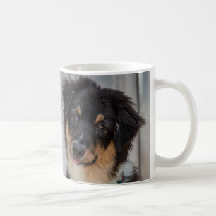 Australischer Schäfer-Hund Tasse