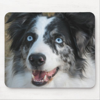 Australischer Schäfer Mousepad