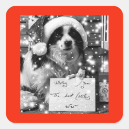 AUSTRALISCHER SCHÄFER SQUARE-Aufkleber Quadratischer Aufkleber