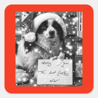 AUSTRALISCHER SCHÄFER SQUARE-Aufkleber Quadratischer Aufkleber