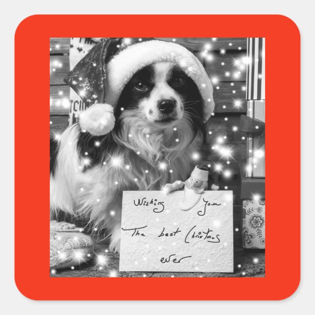 AUSTRALISCHER SCHÄFER SQUARE-Aufkleber Quadratischer Aufkleber (Vorderseite)