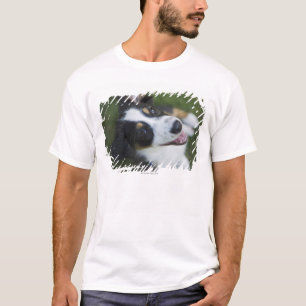 Australischer Schäfer stehend auf Hinterbeinen T-Shirt
