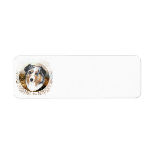 Australischer Schäferhund