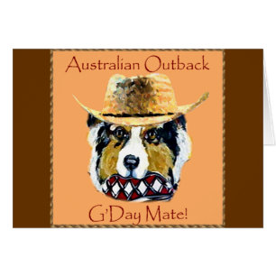 Australischer Schäferhund