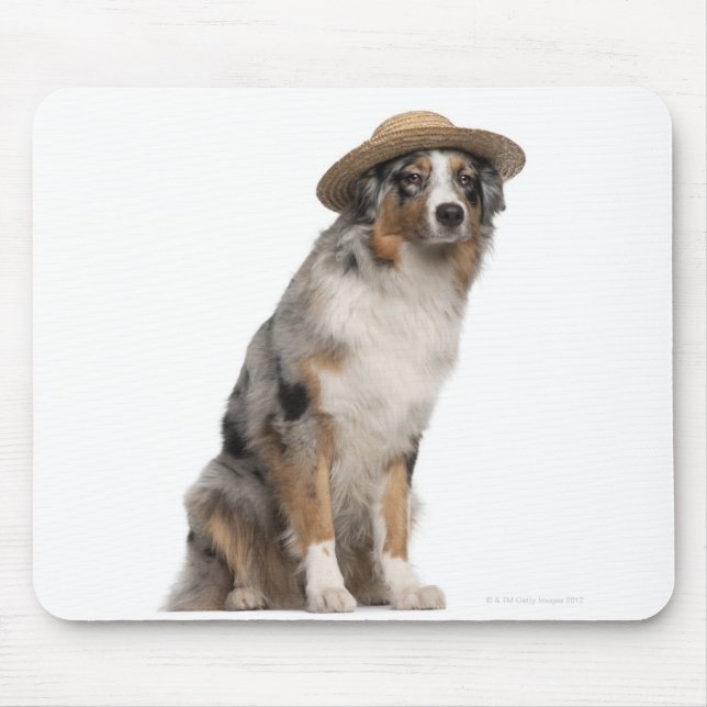 Australischer Schäferhund (10 Monate alt) mit eine Mousepad (Vorne)