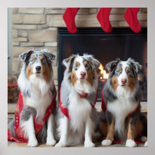Australischer Schäferhund am Kamin Weihnachten Poster