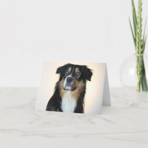 Australischer Schäferhund Aussie Hund Hallo Liebe Karte