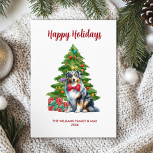 Australischer Schäferhund - Familie Weihnachten