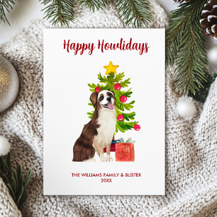 Australischer Schäferhund - Familie Weihnachten