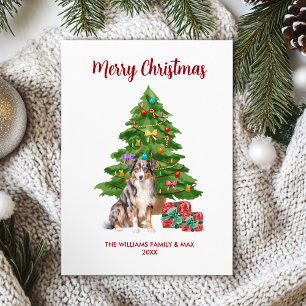 Australischer Schäferhund Familien-Weihnachten Feiertagskarte
