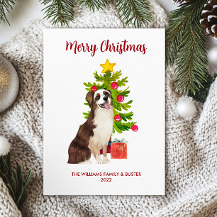 Australischer Schäferhund Familien-Weihnachten Feiertagskarte