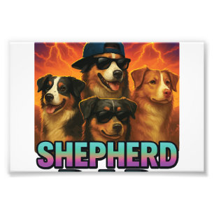 Australischer Schäferhund Fotodruck
