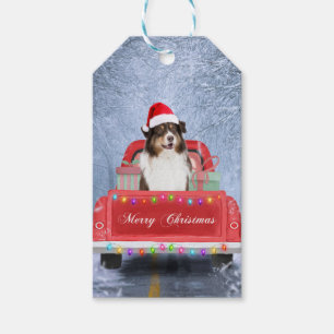 Australischer Schäferhund Hund im Schnee Weihnacht Geschenkanhänger