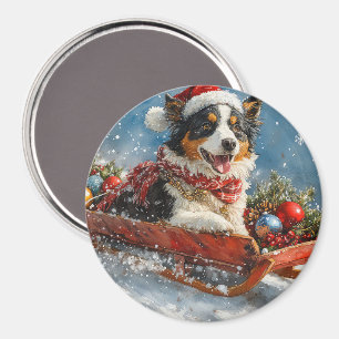 Australischer Schäferhund Hund in Sledge Chriistma Magnet