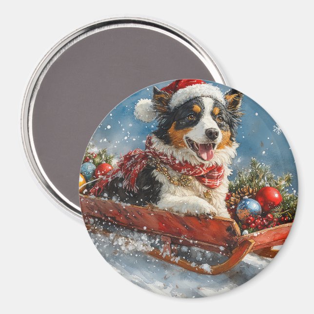 Australischer Schäferhund Hund in Sledge Chriistma Magnet (Vorderseite/Rückseite)
