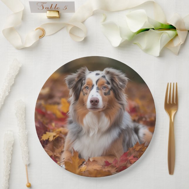 Australischer Schäferhund im Herbstfall Inspiriert Pappteller (Hochzeit)