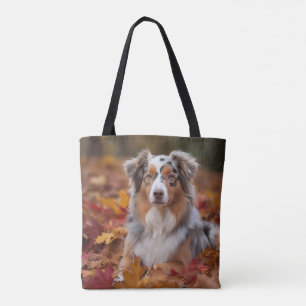 Australischer Schäferhund im Herbstlaubfall inspir