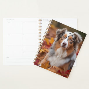 Australischer Schäferhund im Herbstlaubfall inspir Planer