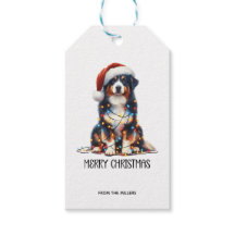 Australischer Schäferhund im Weihnachtslicht einge