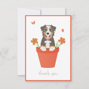 Australischer Schäferhund in Blume Pot Dankeskarte