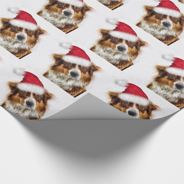 Australischer Schäferhund in einer Weihnachtsmannm Geschenkpapier (Ecke)