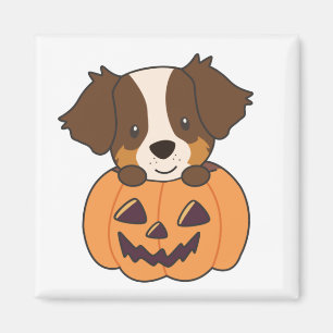 Australischer Schäferhund in Pumpkin Niedlich Happ Magnet