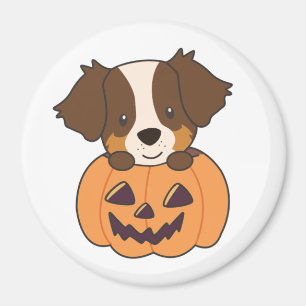 Australischer Schäferhund in Pumpkin Niedlich Happ Magnet