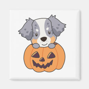 Australischer Schäferhund in Pumpkin Niedlich Happ Magnet