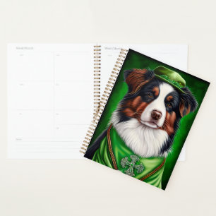 Australischer Schäferhund in St. Patrick's Day Dre Planer
